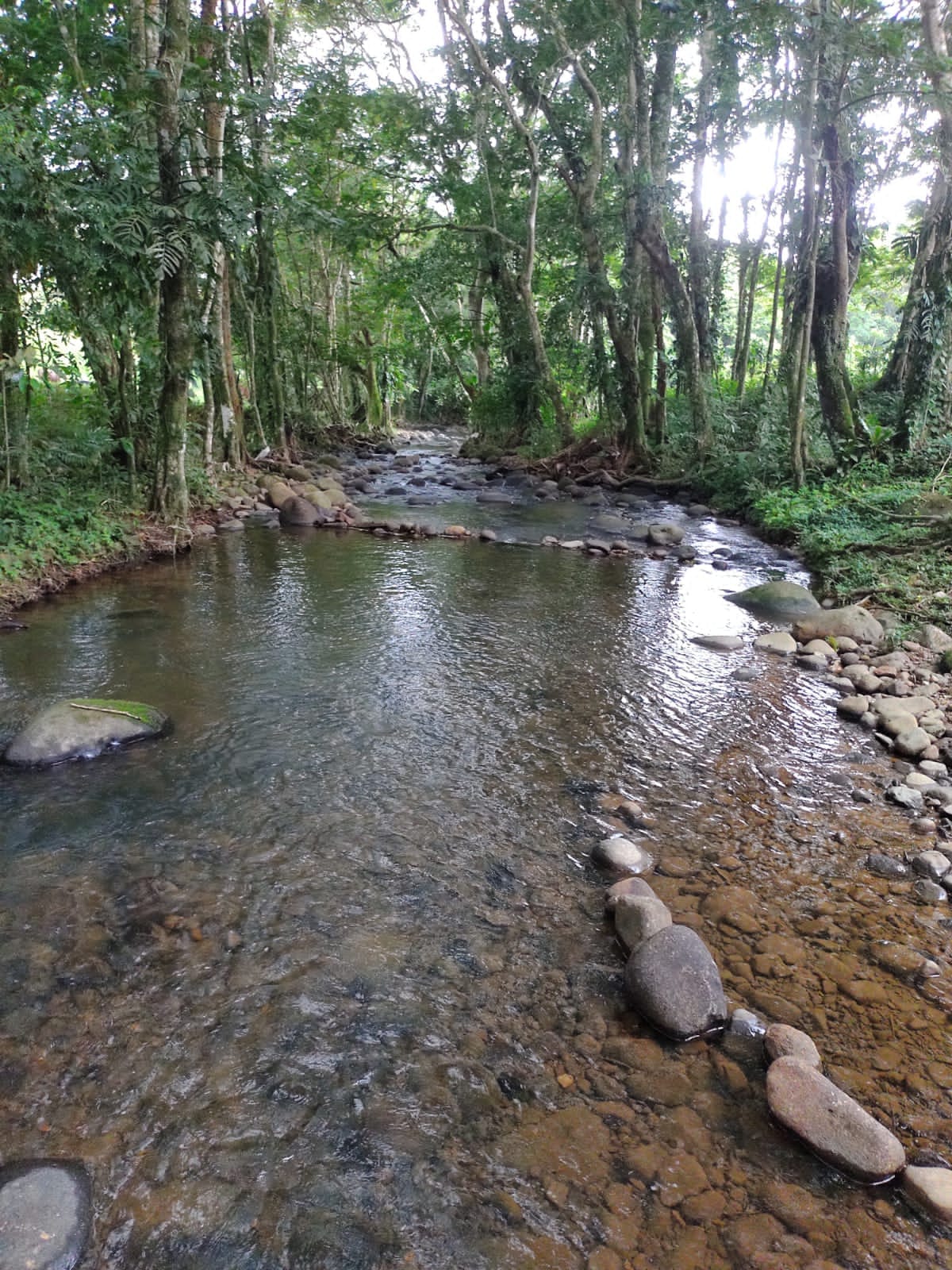 Río cristalino